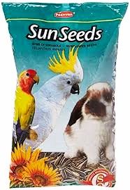 Padovan sun seeds ( krupni suncokret ) 0.5kg
