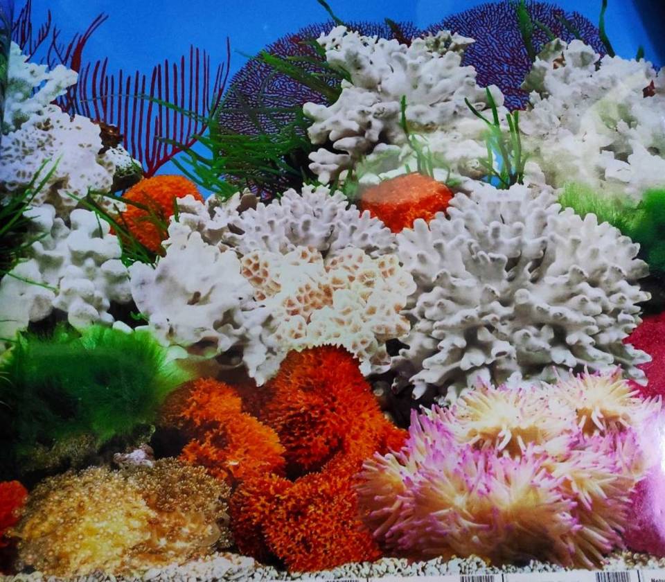 Ukrasna tapeta za akvarijume 1 60cm