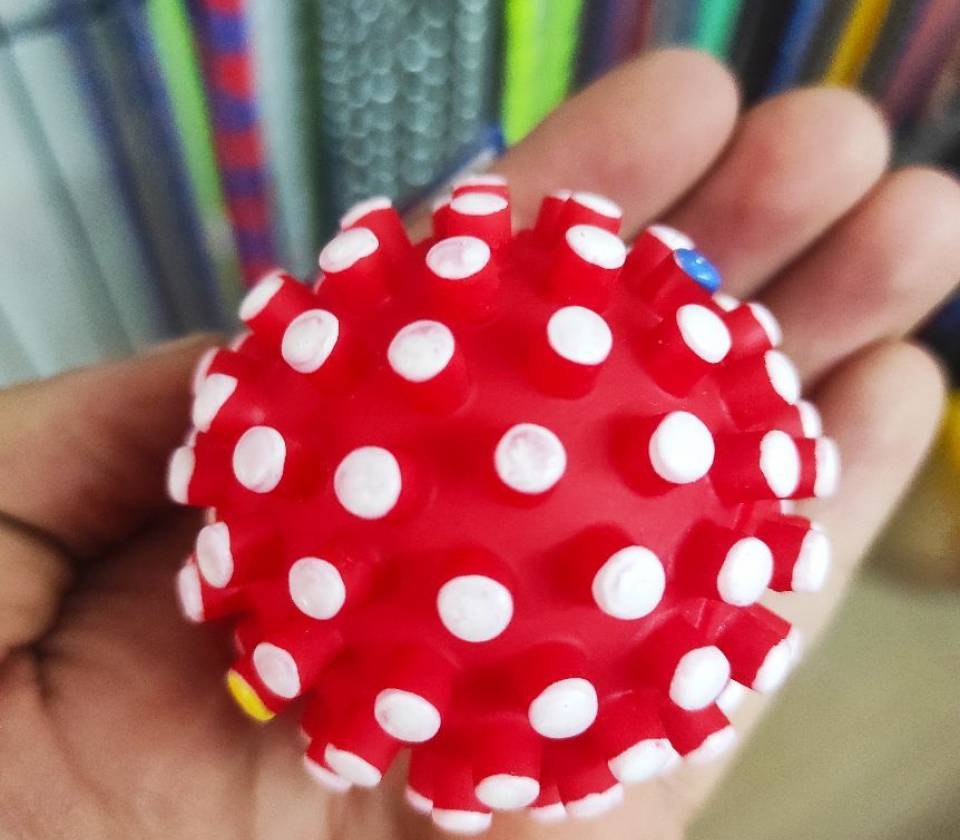 Igracka sa pse lopta jez