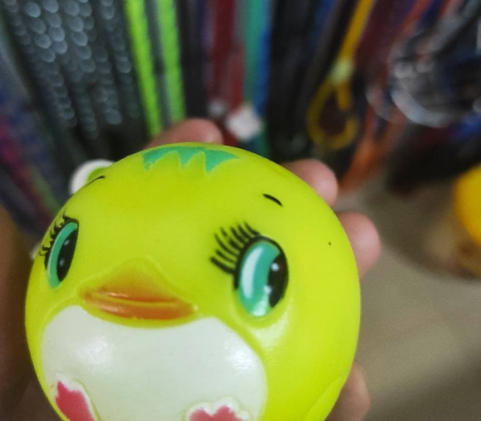 Igracka za pse lopta 