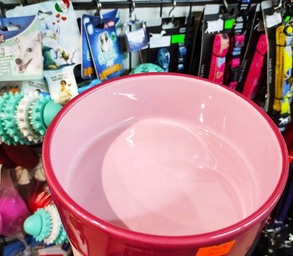 Keramička činija za pse 